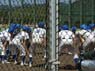 awazi229