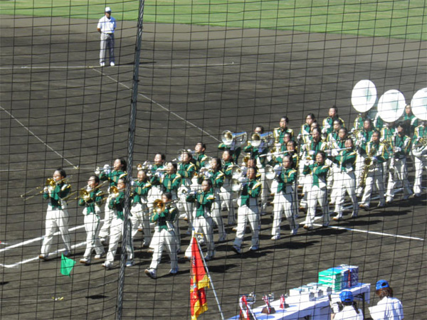 P8240030_burasu